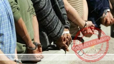 ضبط 6 أشخاص في السيدة … السجن والغرامة عقوبة التنقيب عن الآثار