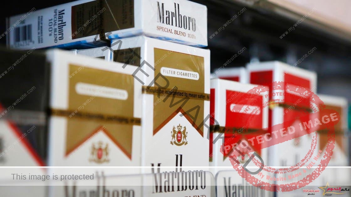مديرية تموين الغربية تضبط 7 تجار سجائر يبيعون بأزيد من التسعيرة الرسمية