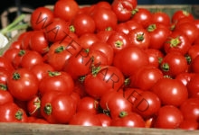أسعار الخضراوات فى الأسواق اليوم.. الطماطم تسجل 6 جنيهات