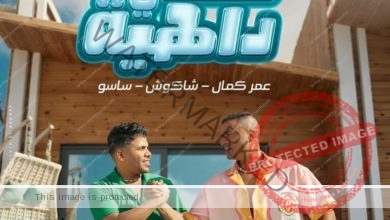 شاكوش وعمر كمال يستعدان لعرض أغنية" فى داهية " غداً.