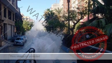 حملات مكثفة للرش والتطهير من الحشرات الضارة والبعوض بأحياء الإسكندرية
