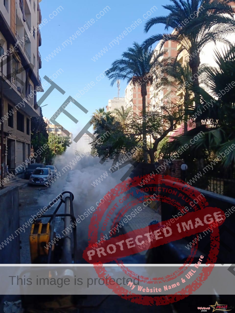 حملات مكثفة للرش والتطهير من الحشرات الضارة والبعوض بأحياء الإسكندرية