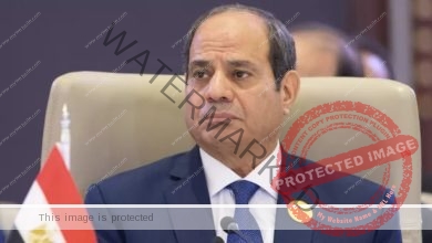 السيسي: التحديات التي واجهت الدولة المصرية خلال الفترة الماضية كانت كافية لجعلها غير قادرة على النهوض مرة أخرى