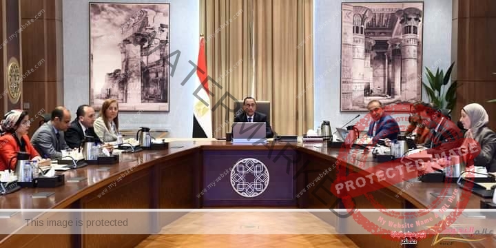 رئيس الوزراء يستعرض الجهود الوطنية لتعزيز أوجه التنمية المستدامة في مصر