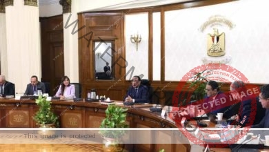رئيس الوزراء يتابع موقف المبادرة الرئاسية "حياة كريمة"واستعدادات بدء المرحلة الثانية