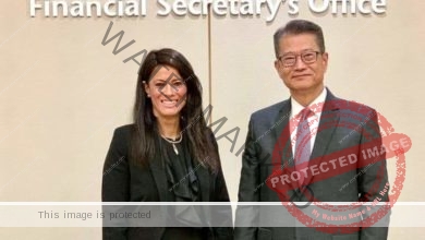 المشاط تبحث تعزيز التعاون المشترك مع وزير المالية بهونج كونج