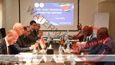 سويلم ونظيره الجنوب سوداني يترأسان إجتماع اللجنة الفنية المشتركة بين مصر وجنوب السودان