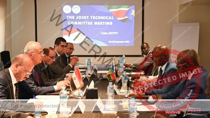 سويلم ونظيره الجنوب سوداني يترأسان إجتماع اللجنة الفنية المشتركة بين مصر وجنوب السودان