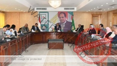 محافظ الفيوم ورئيس جهاز تعمير القاهرة يتابعان الموقف التنفيذي لمشروعات مبادرة "حياة كريمة" 