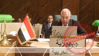 وزير الزراعة يلقى كلمة بجامعة الدول العربية في ورشة العمل التشاورية حول حالة الأمن الغذائي العربي 