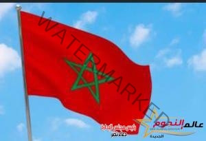 تامر حسني ينعي شعب المغرب وخالد سرحان يعلق على الزلزال 