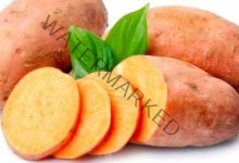 فوائد البطاطا الحلوة المتعددة في علاج العديد من الأمراض