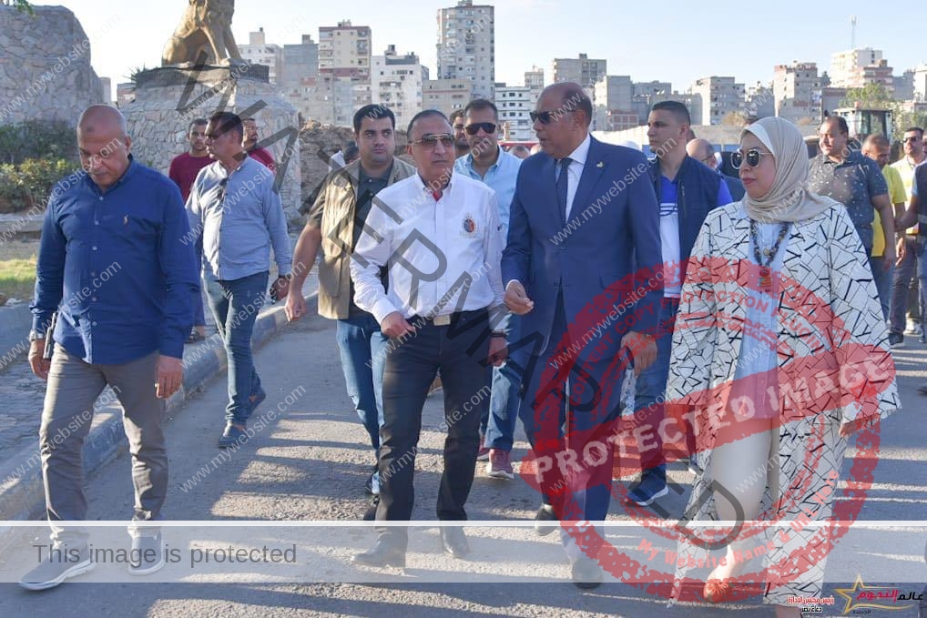 محافظ الإسكندرية يتفقد سير العمل بمشروع إنشاء الكوبري الرابط بين شارع السادات (45) والطريق الدولي الساحلي