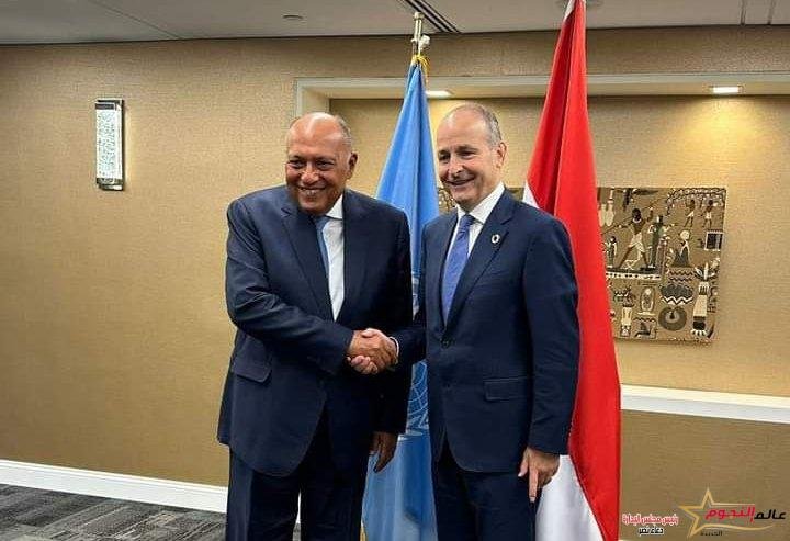 وزير الخارجية يلتقي نائب رئيس الوزراء ووزير الخارجية والدفاع الأيرلندي