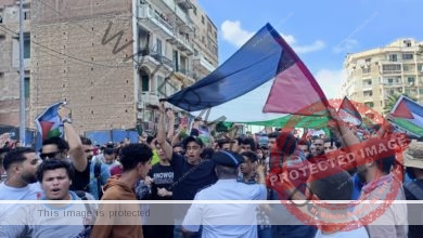 مسيرات لطلاب جامعة الإسكندرية ترفع أعلام فلسطين 