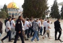 عاجل … مستوطنون يقتحمون المسجد الأقصى بحماية شرطة الاحتلال الإسرائيلي