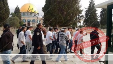 عاجل … مستوطنون يقتحمون المسجد الأقصى بحماية شرطة الاحتلال الإسرائيلي