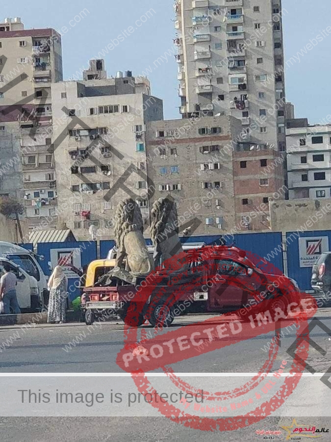 محافظة الإسكندرية توضح حقيقة تداول صورة 2 تمثال لأسدين يتم نقلهما على سيارة نصف نقل