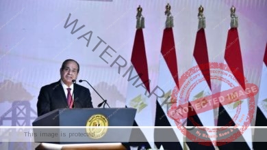 كلمة الرئيس عبد الفتاح السيسي فى ختام مؤتمر "حكاية وطن"