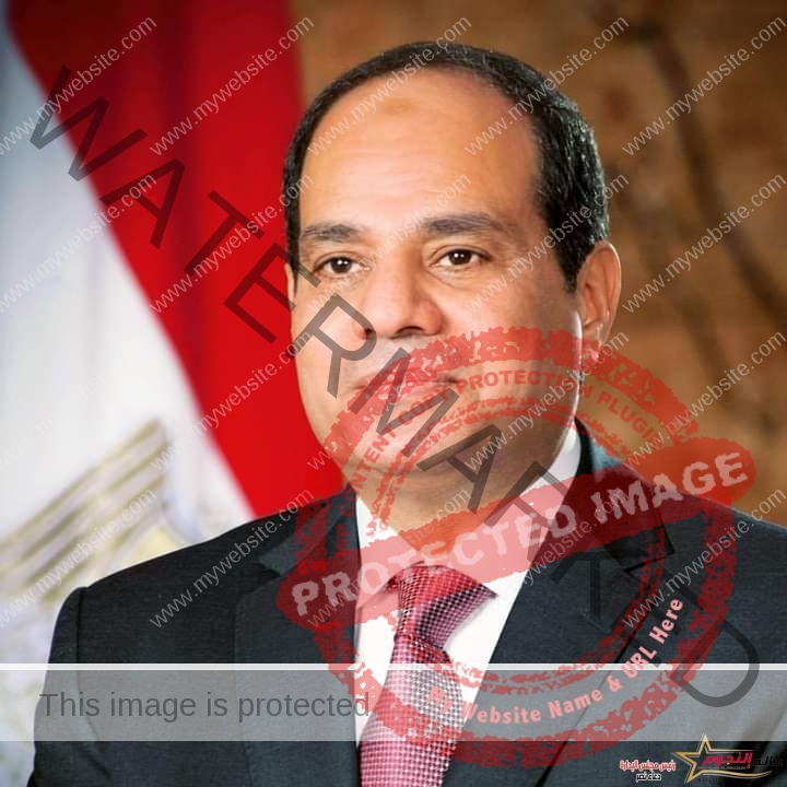 السيسي: القضية الفلسطينة هي قضية العرب ويجب أن يظل شعبها على أرضه