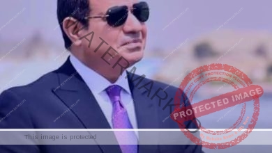 من أجل الأمن والأمان.. الرئيس السيسي: 9 ملايين ضيف في مصر