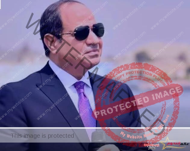 من أجل الأمن والأمان.. الرئيس السيسي: 9 ملايين ضيف في مصر