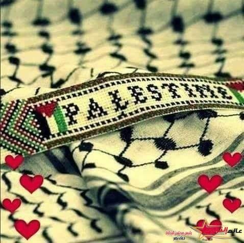 ااااه يا فلسطين... بقلم/ د. عبير منطاش 