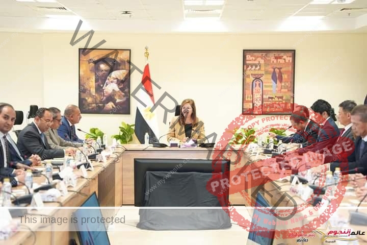 وزيرة التخطيط والتنمية الاقتصادية تستعرض فرص الاستثمار في مصر أمام وفد من المستثمرين اليابانيين