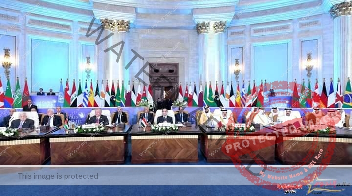 متحدث الرئاسة: قمة القاهرة للسلام بمثابة جمعية عامة للأمم المتحدة مصغرة