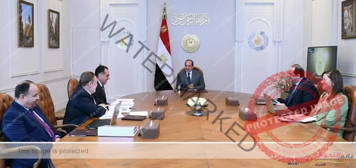 السيسي يجتمع مع رئيس الوزراء ومحافظ البنك المركزي