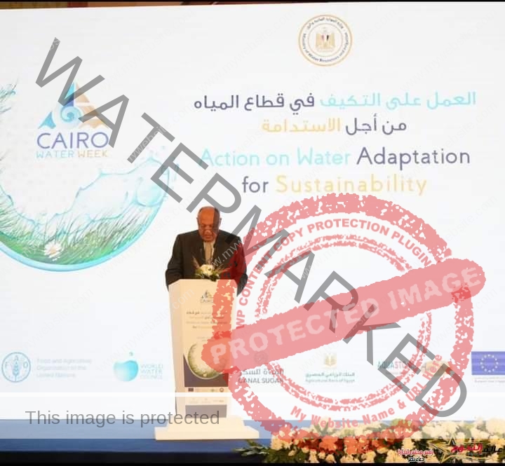 مشاركة وزير الخارجية في افتتاح الدورة السادسة لأسبوع القاهرة للمياه