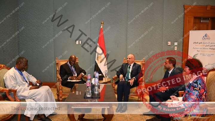 سويلم يلتقى المدير الإقليمى لبنك التنمية الافريقى فى مصر