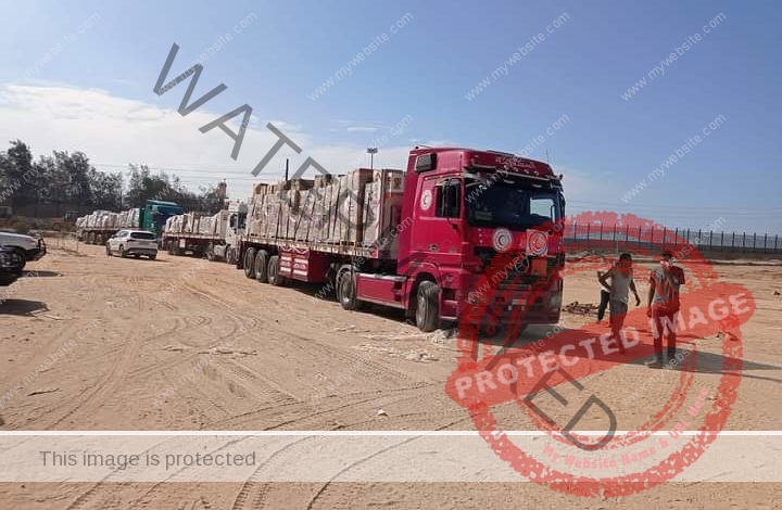 مجلس القبائل والعائلات المصرية يشارك بـ31 شاحنة مساعدات لغزة