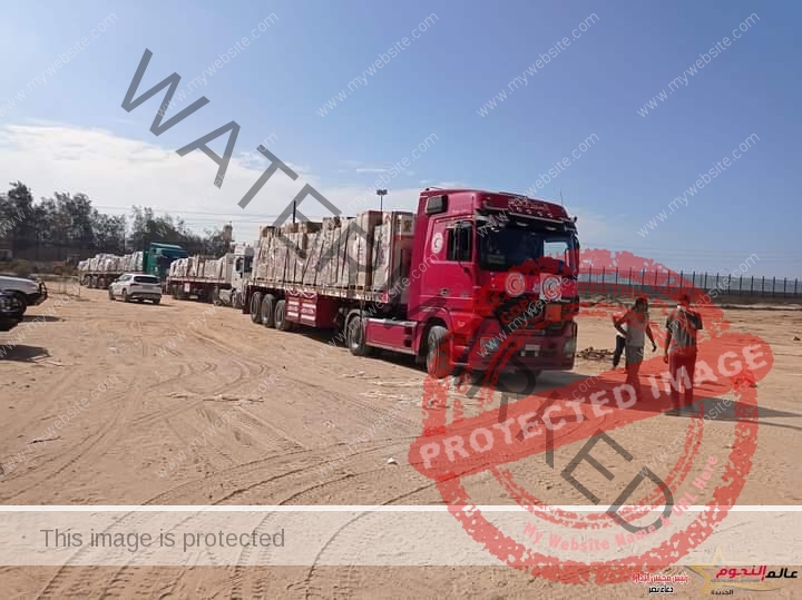 استلام 59 شاحنة محملة بالمساعدات عبر معبر رفح اليوم