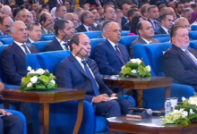 الرئيس السيسي: أحاول توثيق الواقع في مصر خلال حكم الجماعة الإرهابية