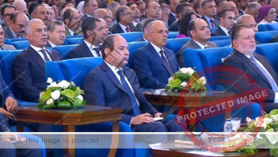 الرئيس السيسي: أحاول توثيق الواقع في مصر خلال حكم الجماعة الإرهابية