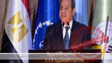 السيسي: هناك تحديات وصعوبات في مصر والأهم أننا نظل ثابتين وصامدين