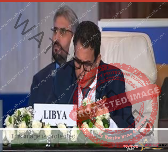 رئيس المجلس الرئاسي الليبي: يجب إيقاف مخطط الاحتلال لتهجير سكان غزة