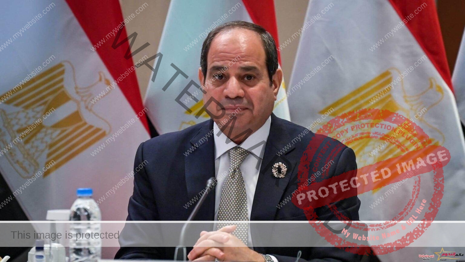 تحذيرات الرئيس السيسي تعكس رفض مصر لممارسات الاحتلال غير الإنسانية