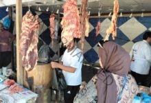 محافظ الإسكندرية: يعلن عن إنطلاق مبادرة "الإسكندرية ضد الغلاء" لتوفير اللحوم البلدي بسعر 220 جنيه للكيلو