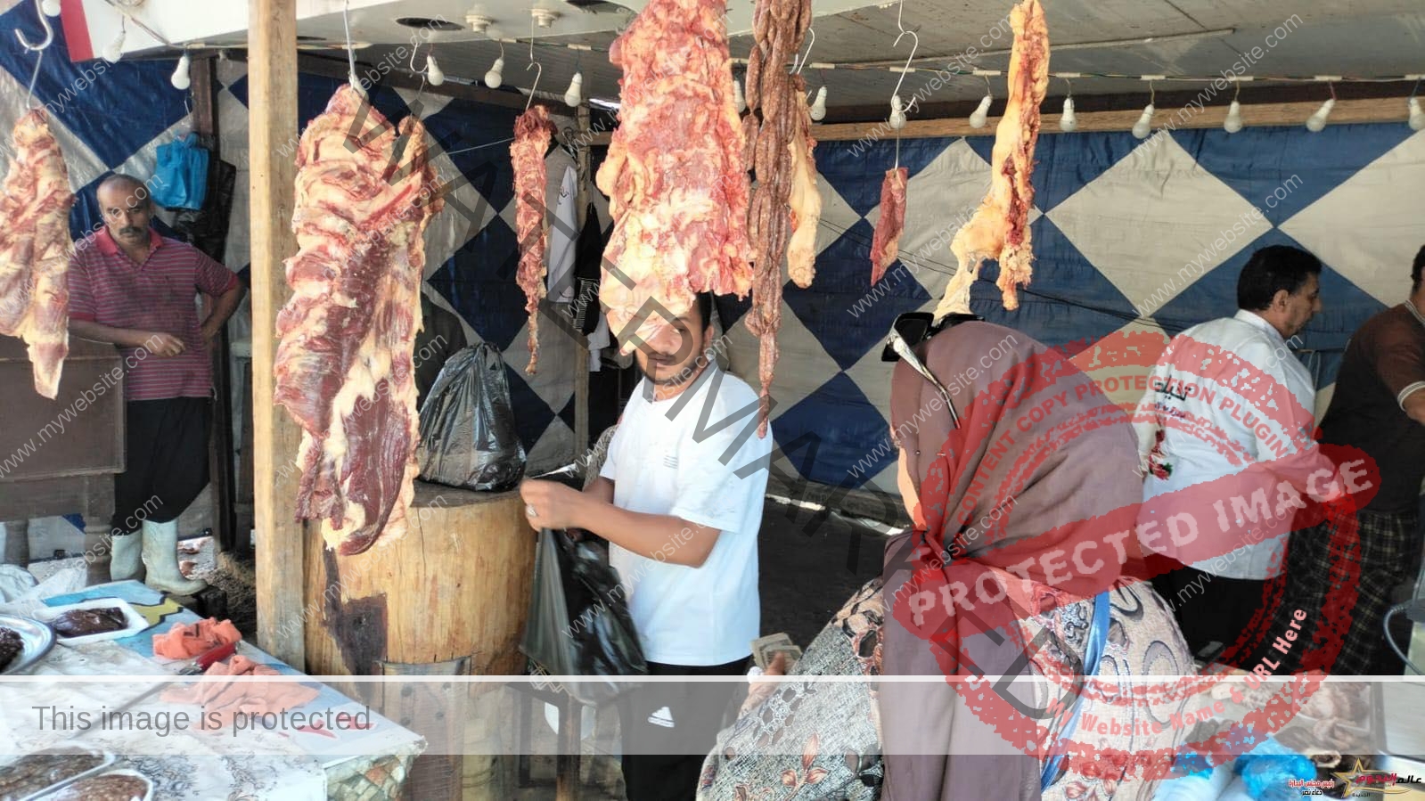 محافظ الإسكندرية: يعلن عن إنطلاق مبادرة "الإسكندرية ضد الغلاء" لتوفير اللحوم البلدي بسعر 220 جنيه للكيلو