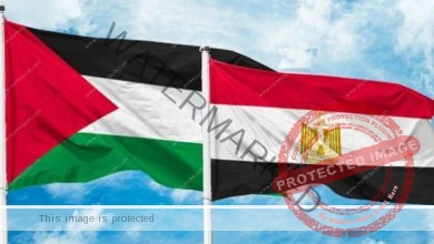 قمة القاهرة للسلام.. مصر تحتضن العالم لبحث الوضع في غزة