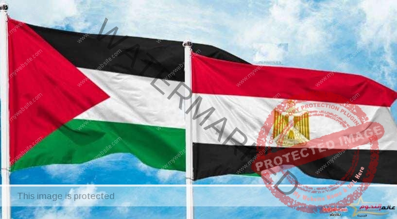 قمة القاهرة للسلام.. مصر تحتضن العالم لبحث الوضع في غزة