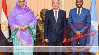 محافظ الإسكندرية يبحث مع سفيرة جمهورية النيجر تعزيز سبل التعاون