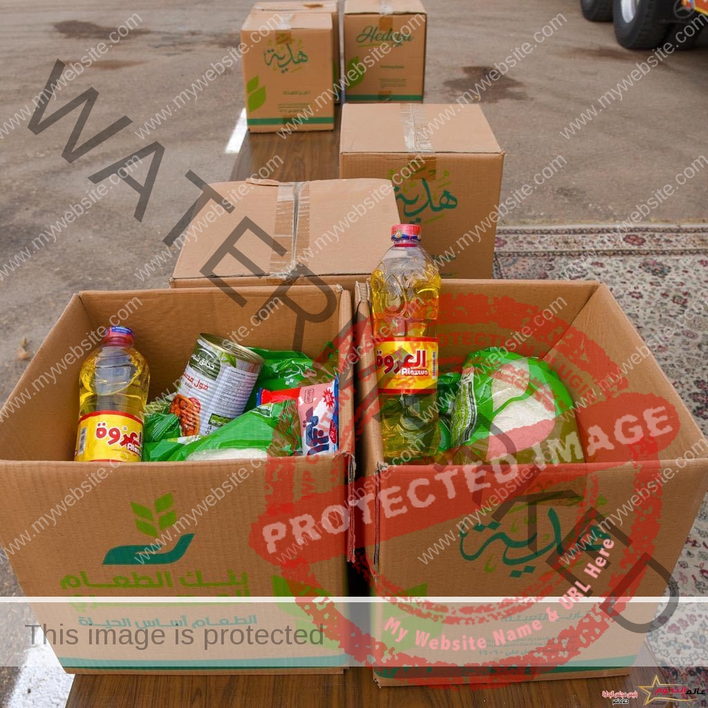 محافظ الإسكندرية يتفقد قافلة بنك الطعام المصري لدعم أهالي بشاير الخير