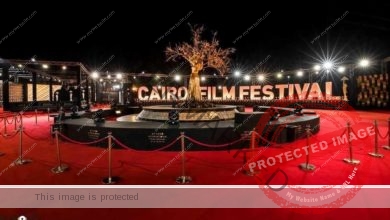 تعليق إقامة "مهرجان القاهرة السينمائي".. حتى إشعار آخر