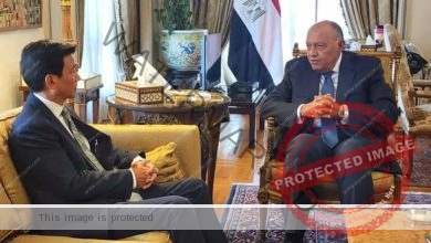 وزير الخارجية يلتقي وزير خارجية تايلاند في القاهرة