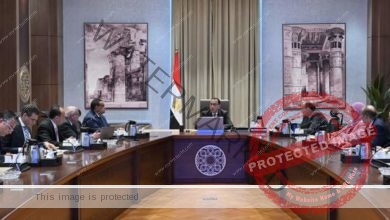 رئيس الوزراء الاستجابة لمتطلبات عدد من المصانع القائمة وتوسعاتها بمحافظة بورسعيد