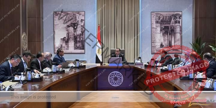 رئيس الوزراء الاستجابة لمتطلبات عدد من المصانع القائمة وتوسعاتها بمحافظة بورسعيد