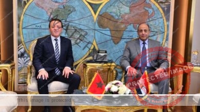 وزير الطيران المدني يلتقي وزير النقل واللوجستيات المغربى لبحث آفاق التعاون المشترك 